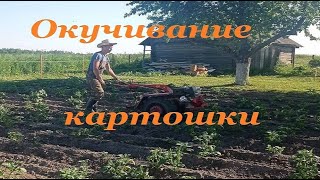 Окучивание картошки мотоблоком МТЗ