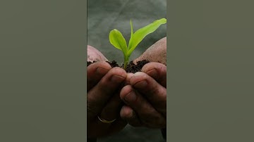 Become a successful  PM! #motivation  #shorts  #quotes #projectmanagement