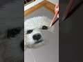 Pintura em tela 0005