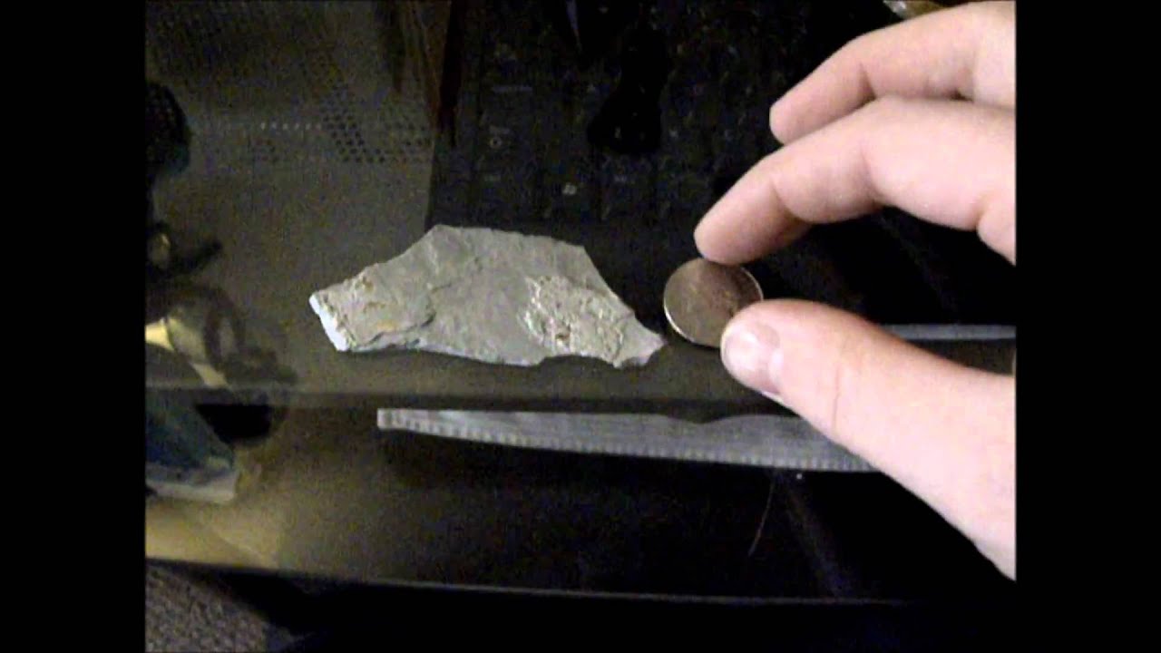 The biggest piece of cat litter ever YouTube