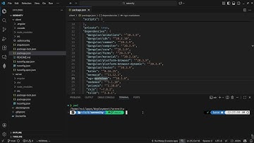 Node.js Semantic Versioning and Package Dependency Explained
