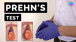 Prehn's Test | Testicular Pain | Prehn's Sign | Osce Guide | Ukmla | Cpsa