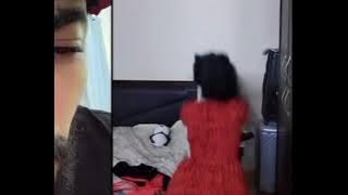 تيك توك لايف ديرد والبنت قمر التيك توك يحكمه تريد حكم سكواد 🫣😅