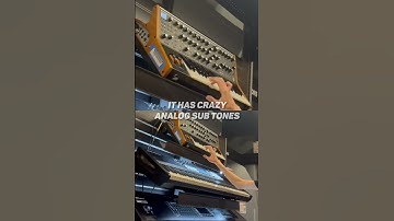 Crazy Analog Sub Synth (MOOG SUBSEQUENT 37) #synth
