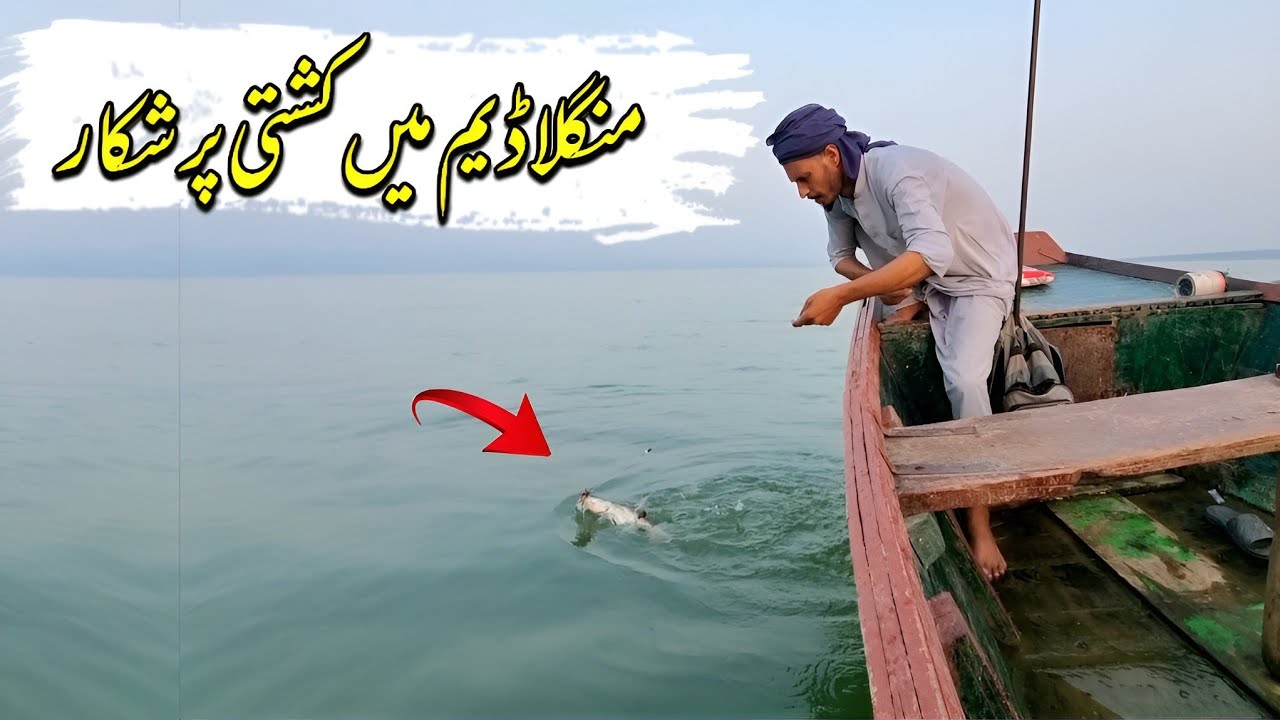 Hammad Fish Mangla Dam Mein Kashti Per Shikar | Unique fishing | Hammad Official ...