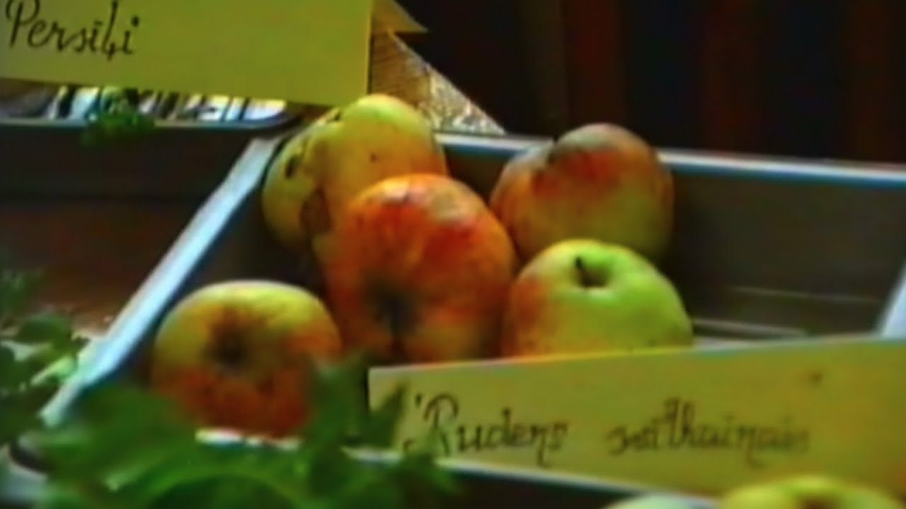 Malnavas lauksaimniecības tehnikums, ražas svētki 1990.gads