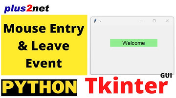 Mouse entry and leave event on Tkiner Label to update attributes by using config