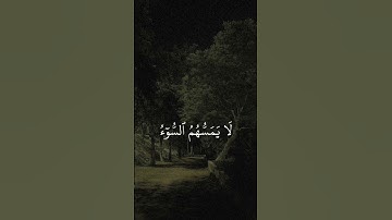 سورة الزمر