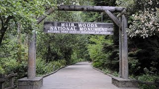 Visiting Muir Woods Not without a reservation