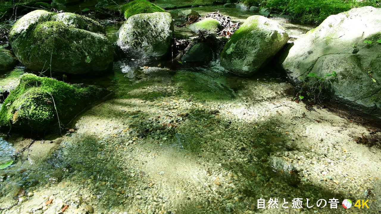 【自然の音】小川のせせらぎ、癒し、睡眠、リラックス、作業用BGM【3時間】 - YouTube
