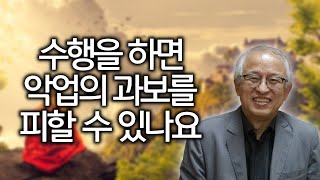 채식도 살생일까, 계율과 인과응보 | 불교 신자는 횟집을 하면 안되나요 | 김성철 교수