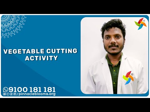 Vegetable cutting Activity