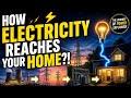 How Electricity Reaches Your Home ⚡| #Electricity #Power #Energy #HowThingsWork #ExplainXHub