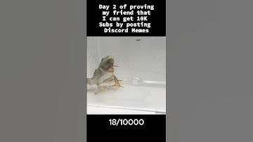 Day 3 of Proving I can get 10K Subs using Discord Memes