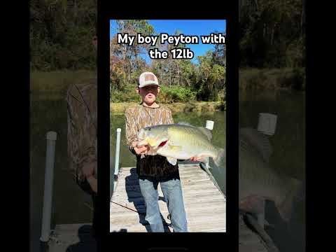 Bassfishing Fishing Fypシ Viral Bass Shortvideo Shortsviral