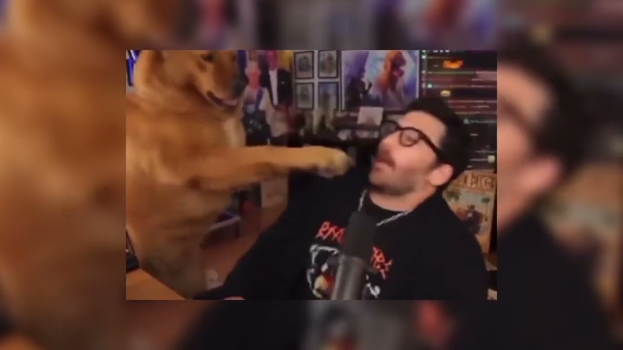 Guccimarx - Shock My Dog I Can’t Stop (slowed)