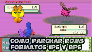 Celebrity How to apply IPS and BPS patches to your ROMs on PC - Gettutorials Net Worth