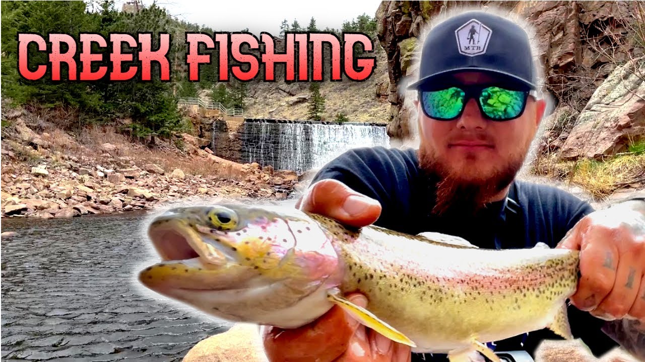 Creek Fishing for Trout (Dynamic Lures HD Trout) 