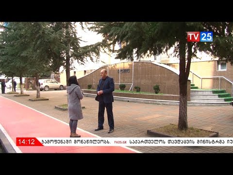 ბესიკ ბაუჩაძემ ხულოს საკრებულოს მანდატი დათმო