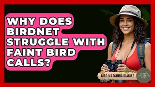 Why Does BirdNET Struggle With Faint Bird Calls? - Bird Watching Diaries screenshot 2
