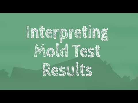 A Guide to Interpreting Mold Test Results - GreenWorks