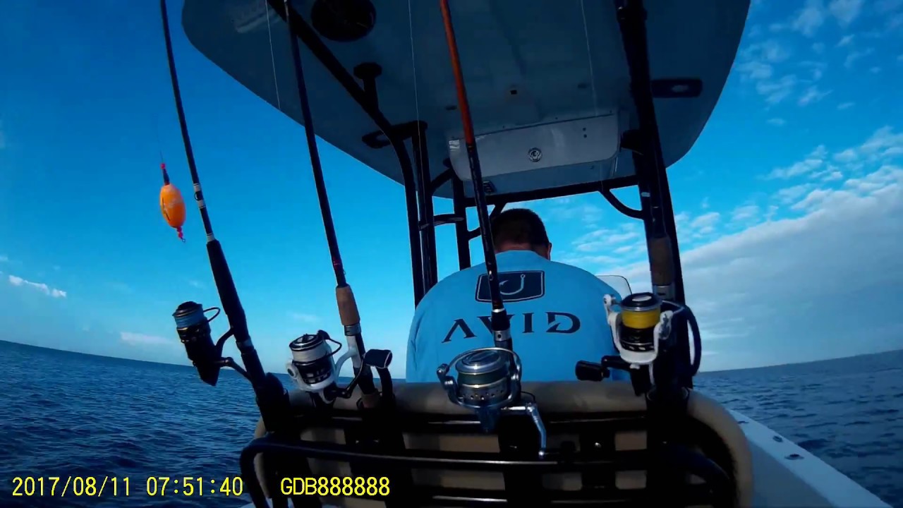 CAPE HATTERAS FISHING 8 11 2017 YouTube