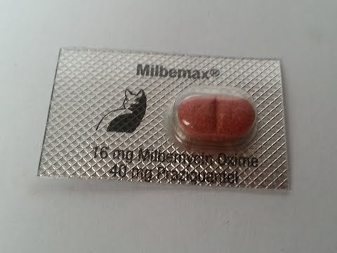 Milbemax® (milbemycin oxime, praziquantel)