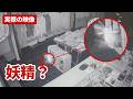 防犯カメラに映った「妖精」――南方熊楠へつながる100年越しの謎