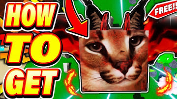 How To Get LAVA DRAGON FLOPPA In Roblox Find The Floppa Morphs