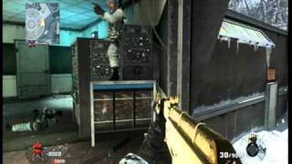 {NEW} Glitch On Array! CoD: Black Ops NEW SPOT!