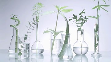 Phyto-C  | Redisover The Power Of Natural Source | Phytoceuticals Skin Care