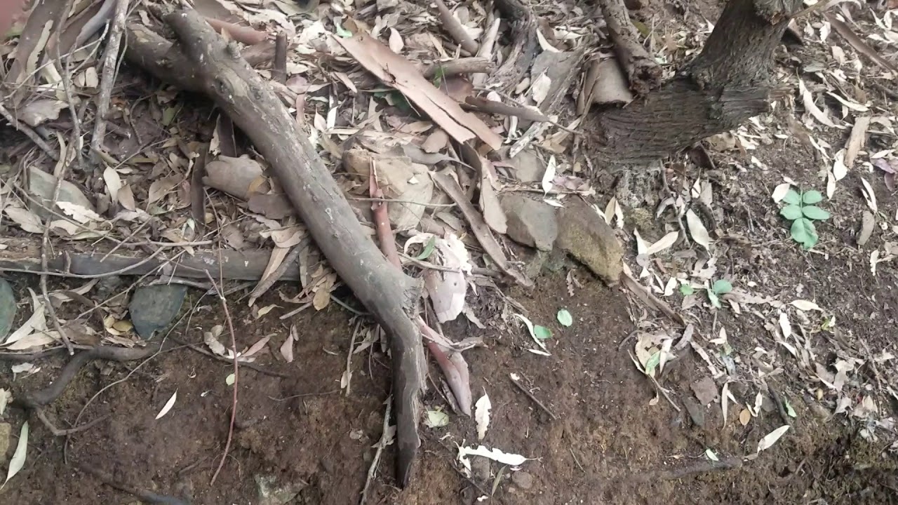 Spring box catchment design Part 1 of God Knows How Many - YouTube