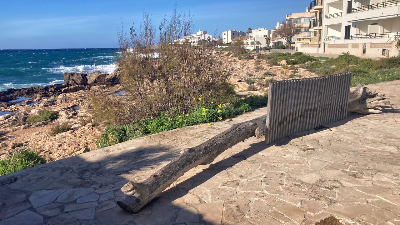 Colonia de Sant Jordi 2026 01 08