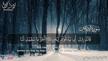 أرح مسامعك 🎧😴 بتلاوة عطرة    من سورة القصص   بصوت القارئ ريان المحيسني