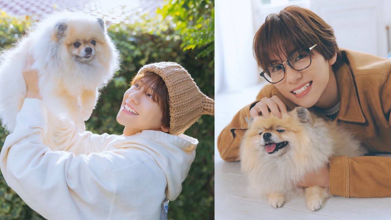 山下幸輝さんが半年ぶりに遊びにきてくれました！（ポメラニアン｜月刊わんこvol.26撮影オフショット）