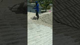 Pressure cleaning call or text 754-303-5201 for appointment #explorepage #fyp #diy #pressurewashing