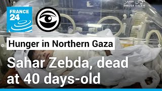 Northern Gaza: dead babies, emaciated children • The Observers - France 24