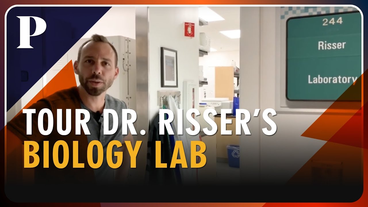 Tour the biology lab of professor Doug Risser at University of the ...