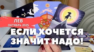 :   2025 :   ,    ! |  