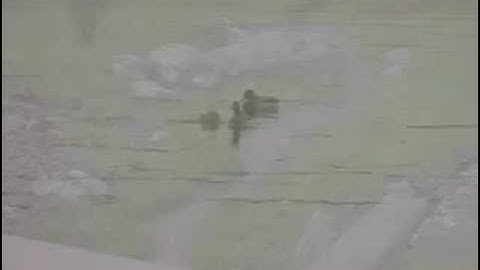 Nonpoint Source Pollution: An introduction to stormwater