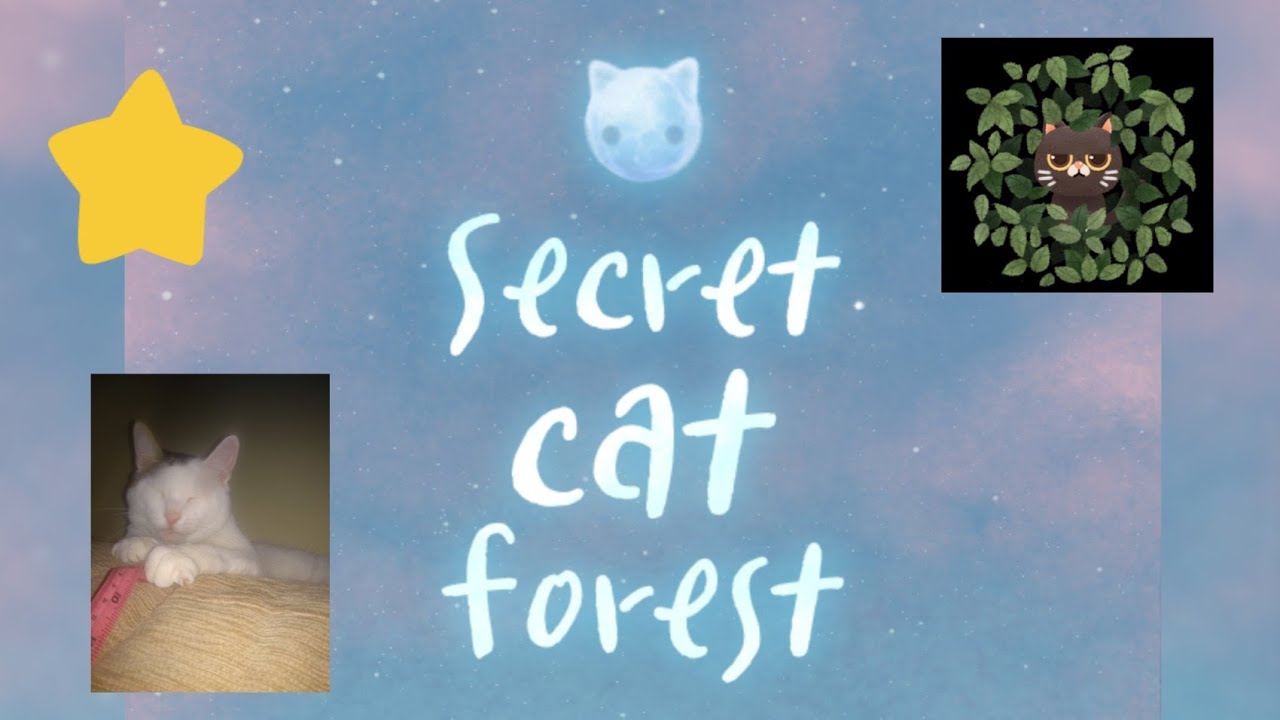Conociendo los secretos del bosque. Secret Cat Forest. 😲🦄🤯 YouTube