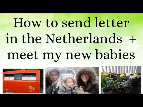 How to send letter in the Netherlands  + meet my new babies