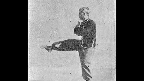 崩捶 Part 20: Close the Door Kick Follow-up [Praying Mantis Kung Fu 螳螂拳]