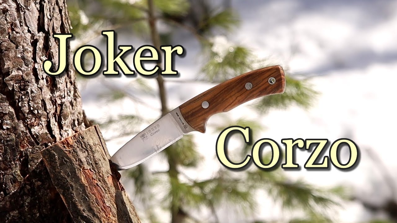 女子キャンパーにもおすすめ Joker Corzo Review Youtube