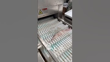 Squid cutting machine #seafoodprocessing #fishing #fishprocessing #fish #fishfactory