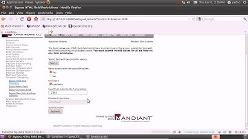 WebGoat - Bypass HTML Field Restrictions