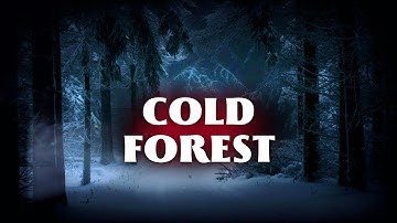 Suspense Background Music - "COLD FOREST" -  Ambient | Atmosphere