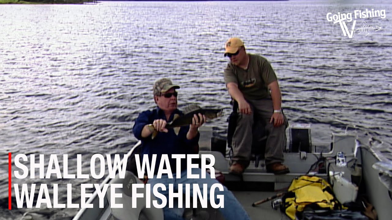 Shallow Water Walleye at Old Post Lodge on Lake St. Joseph