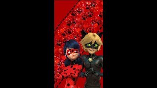 Miraculous Ladybug 231#Shost