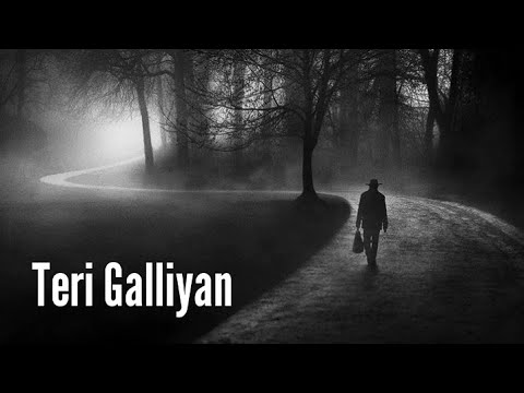 Teri Galiyan Slowed  Reverb Ek Villain  Total Lofi Song Channel  Textaudio